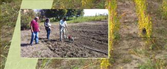 Capacitaciones sobre el cultivo de Quínoa en Leales