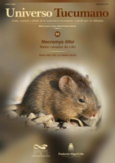 Universo Tucumano 93 (2023): Ratón cavador de Lillo (Necromys lilloi)