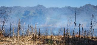 Los incendios forestales en Tucumán, documental