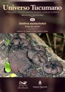 Universo Tucumano 111 (2025): Bolas de carbón (Daldinia eschscholtzii)