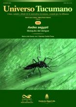 Universo Tucumano 101 (2024): Mosquito del dengue (Aedes aegypti)