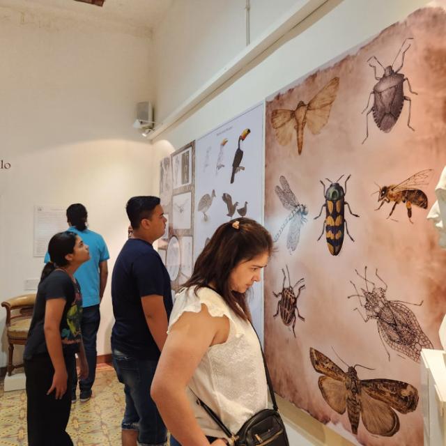 Más de 3000 personas recorrieron los Museos de la FML