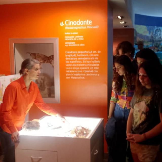 Más de 3000 personas recorrieron los Museos de la FML