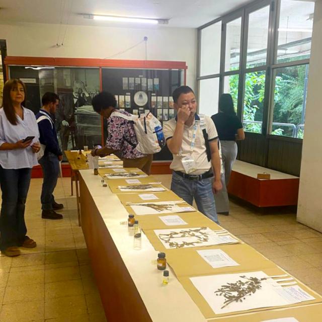 Intercambio internacional de saberes: especialistas en aceites esenciales visitaron la FML