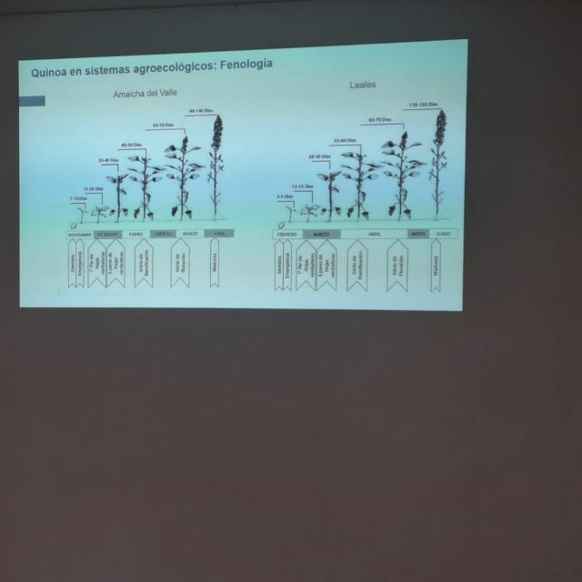 Exitosa jornada para promover el cultivo de quinoa en Tucumán