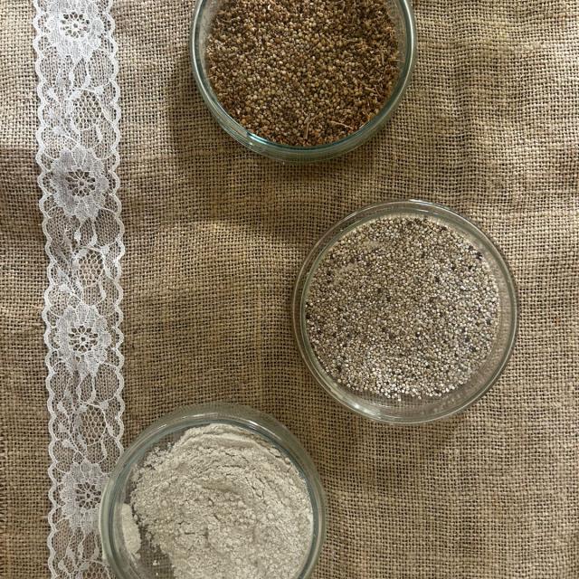 Exitosa jornada para promover el cultivo de quinoa en Tucumán