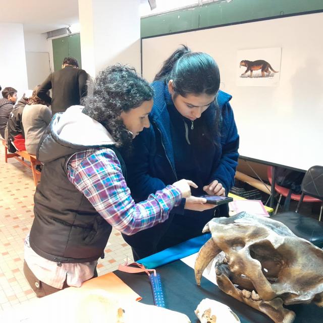 Una muestra de Paleontología para personas con capacidades diferentes 
