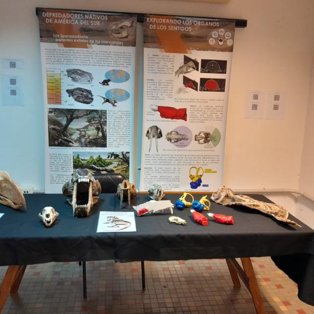 Una muestra de Paleontología para personas con capacidades diferentes 
