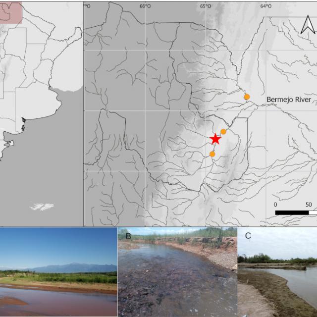 Científicos de la FML descubren nueva especie de bagre en el Bermejo