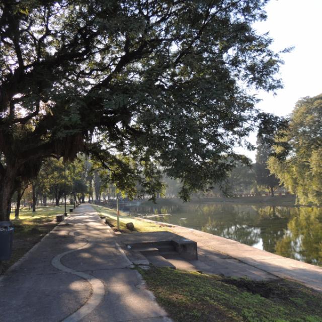 Un libro clave para conocer y cuidar la biodiversidad del Parque 9 de Julio