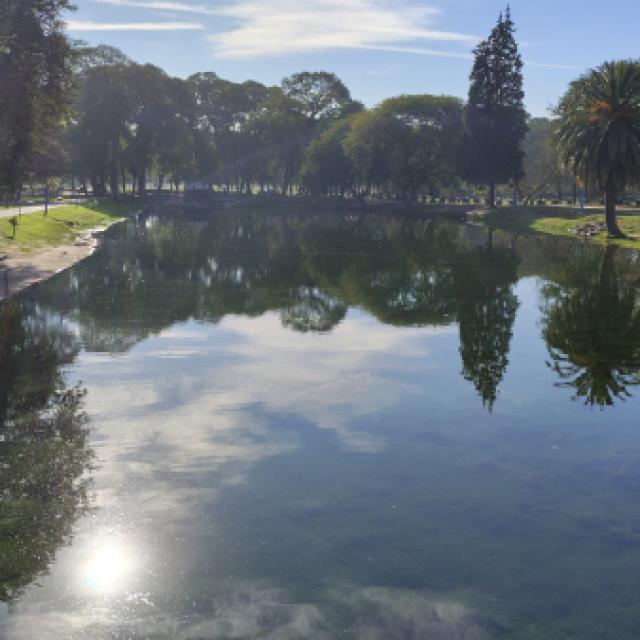 Un libro clave para conocer y cuidar la biodiversidad del Parque 9 de Julio
